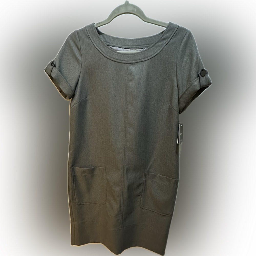 Lovely Ellen Tracy Shift Dress with Short Sleeve